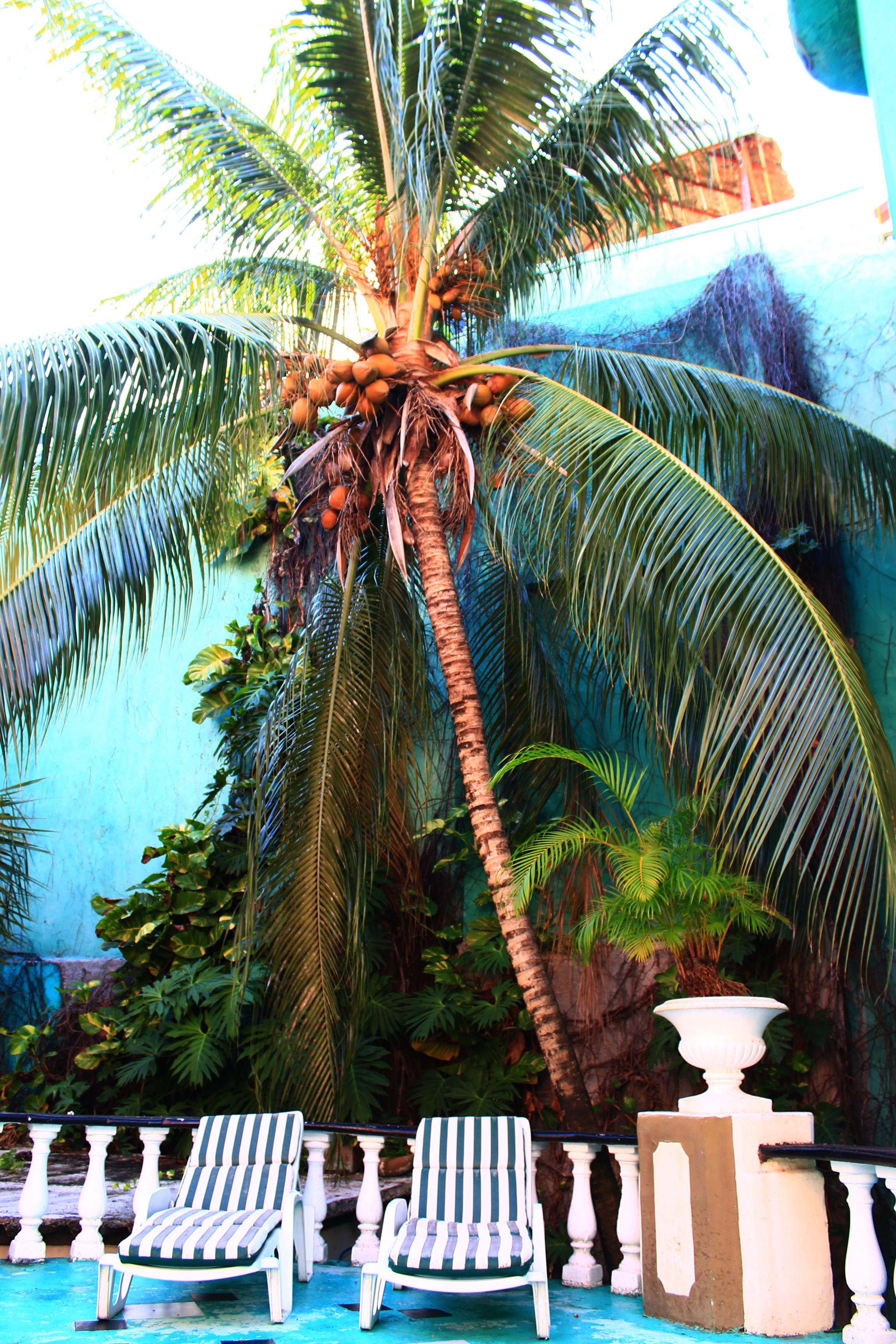 Maya Del Mar On Fifth Avenue Playa del Carmen Exterior photo